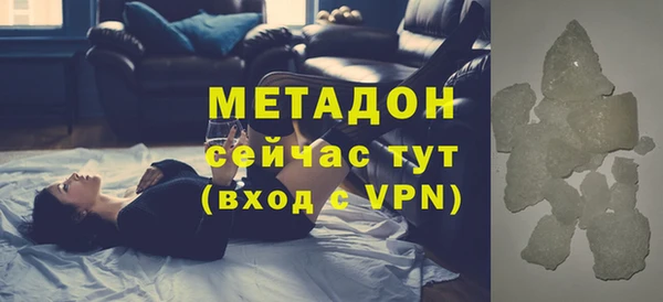 прущие грибы Коряжма