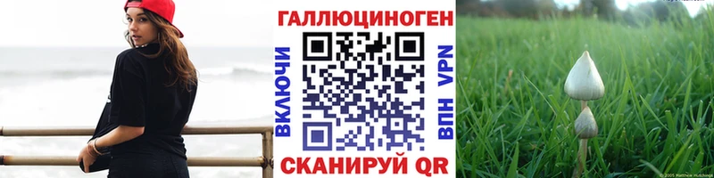 KRAKEN зеркало  купить наркоту  Тайшет  Псилоцибиновые грибы ЛСД 
